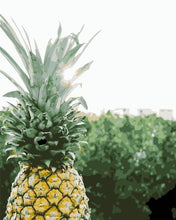 Load image into Gallery viewer, Pine