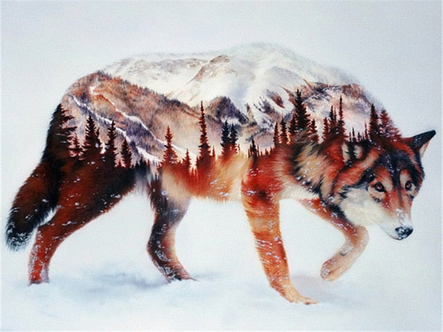 Snow Mountain Wolf