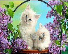 Load image into Gallery viewer, Twin Kittens
