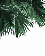 Load image into Gallery viewer, Palms of Love
