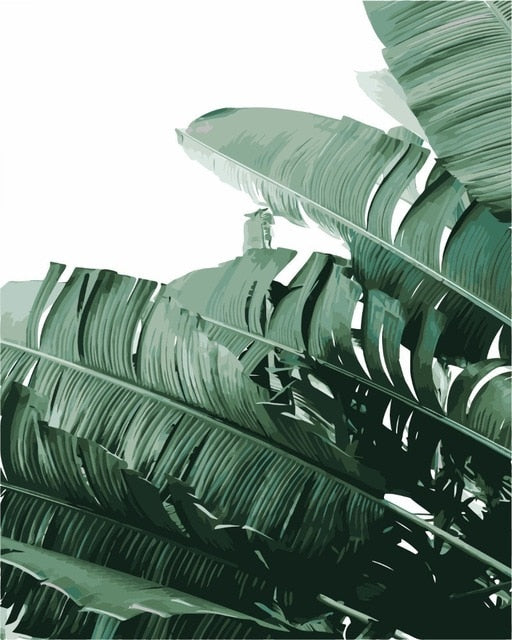 Palms