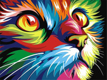 Load image into Gallery viewer, Vibrant Cat
