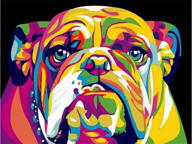 Rainbow Bulldog